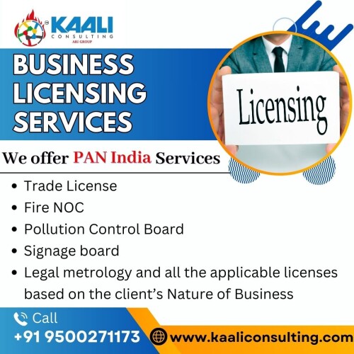 Business licensing services