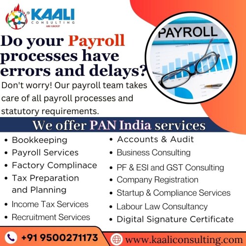 Payrollservices-kaaliconsulting-1.jpeg