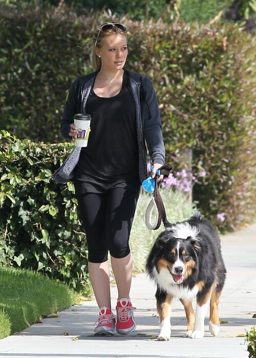  Duff walks her dog and grabs a coffee in Toluca Lake 08