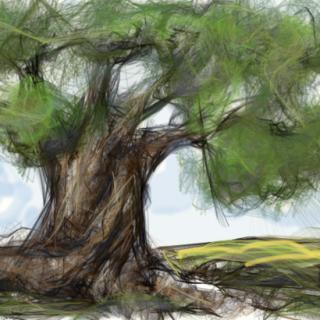 ancient_olive_tree_by_aryundomiel-d2xrbnz