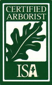 Arborists-San-Jose-CA.jpg