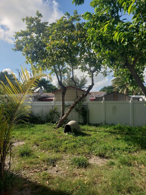 Tree-Removal-Miami-FL.jpg