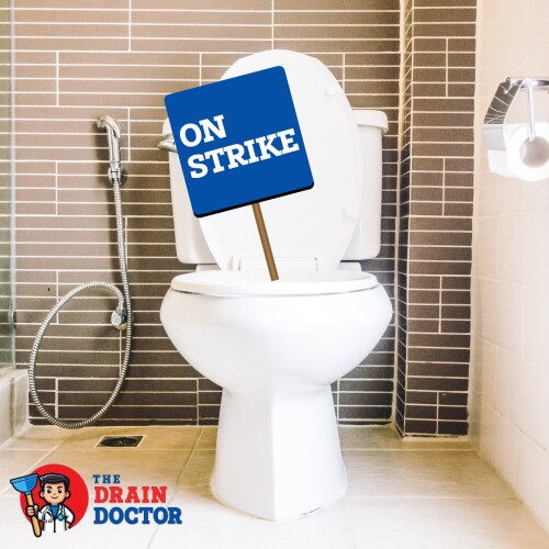 The Drain Doctor
6043 NW 167th St, Ste A-27A
Hialeah, FL 33015
(305) 430-5125