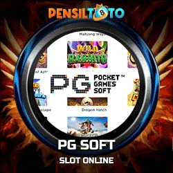 pg soft copy